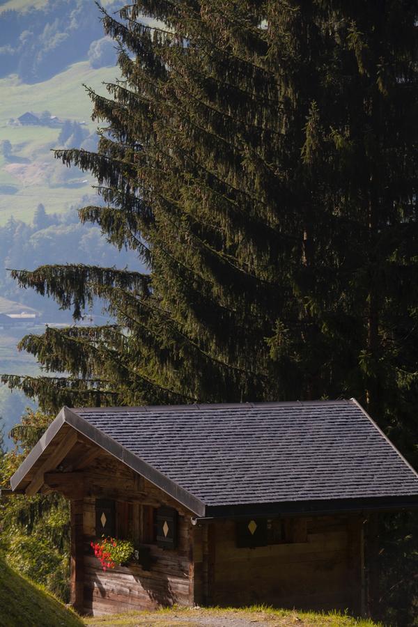 Chalet Le De Lara *